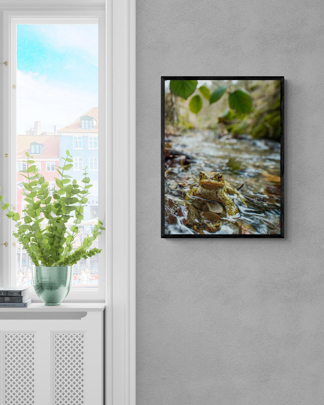 Unser erster Künstler ist bei Printree eingetroffen! - Printree.ch 