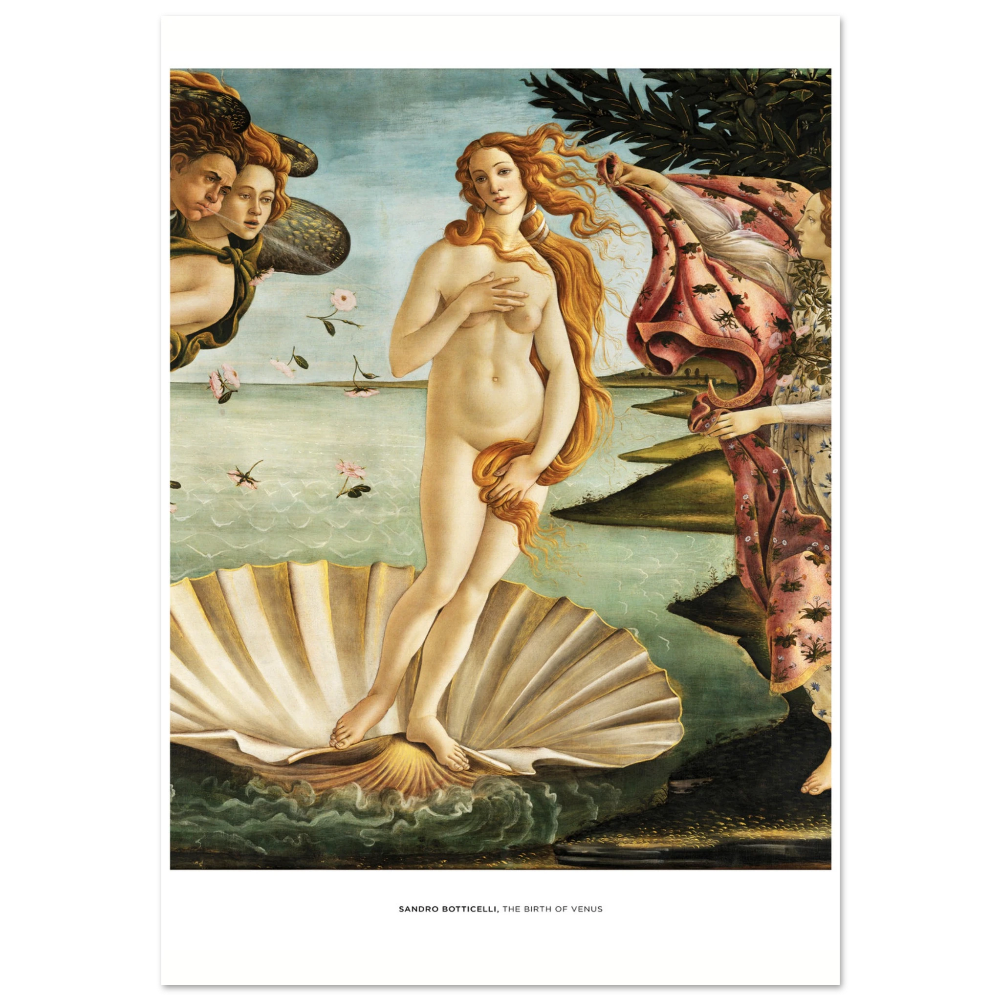 "The Birth of Venus" von Sandro Botticelli, Hochwertiger Kunstdruck,  21x29.7 cm / 8x12"-A3 (29.7 x 42  cm)-45x60 cm / 18x24″-50x70 cm / 20x28″-60x80 cm / 24x32″-70x100 cm / 28x40″,  Printree.ch