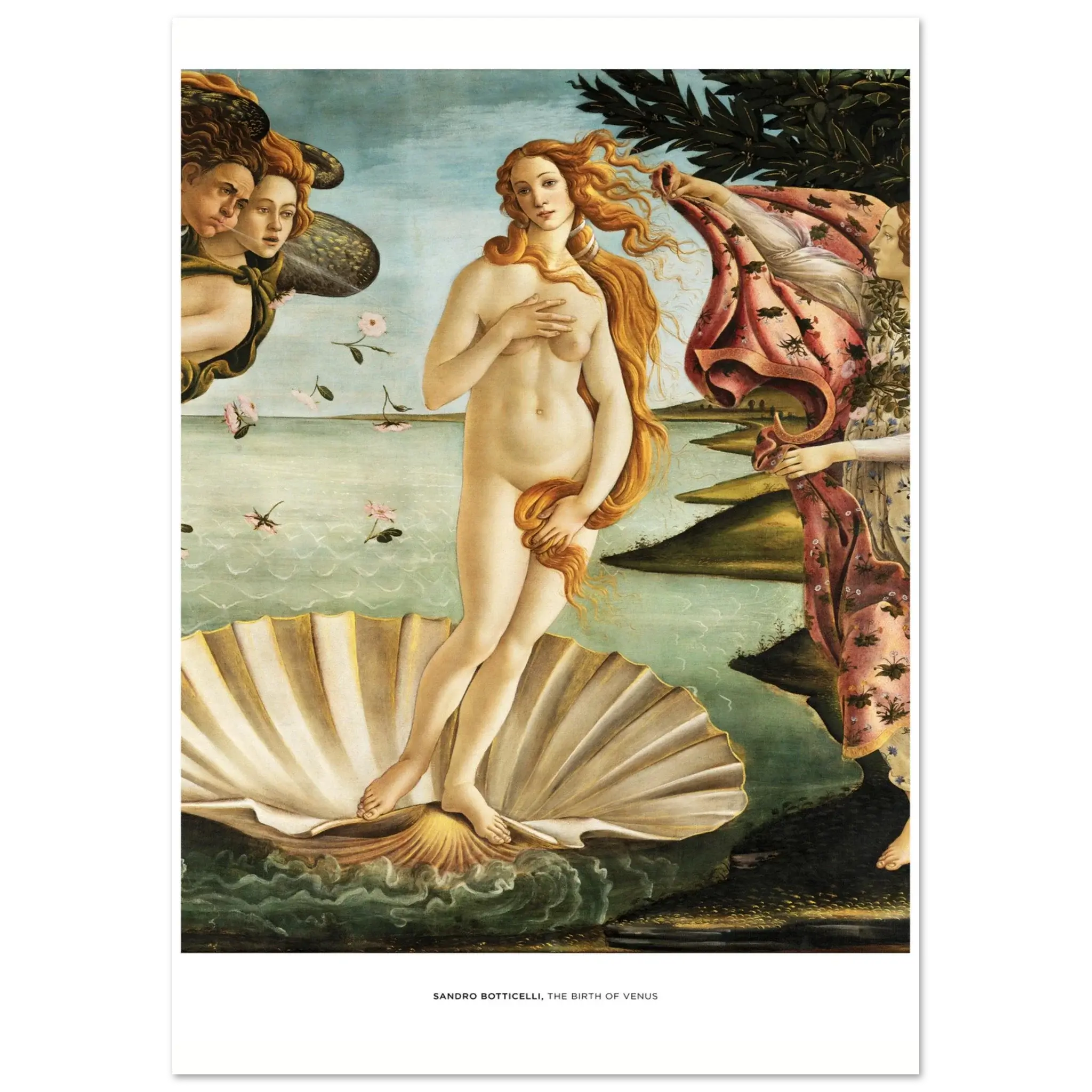 "The Birth of Venus" von Sandro Botticelli, Hochwertiger Kunstdruck,  21x29.7 cm / 8x12"-A3 (29.7 x 42  cm)-45x60 cm / 18x24″-50x70 cm / 20x28″-60x80 cm / 24x32″-70x100 cm / 28x40″,  Printree.ch