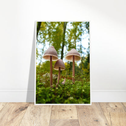 Forest whispers: mushroom family in autumn light