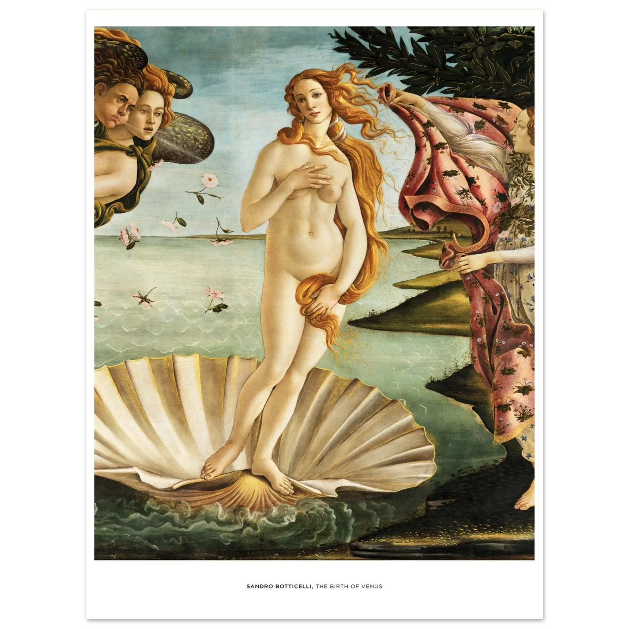 "The Birth of Venus" von Sandro Botticelli, Hochwertiger Kunstdruck,  21x29.7 cm / 8x12"-A3 (29.7 x 42  cm)-45x60 cm / 18x24″-50x70 cm / 20x28″-60x80 cm / 24x32″-70x100 cm / 28x40″,  Printree.ch