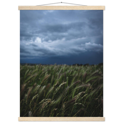 Das saftige grüne Gras - Printree.ch Erholung, Foto, Fotografie, Frankreich, grünes Gras, Landschaft, Landwirtschaft, ländlich, Natur, Naturschönheit, Reisen, Sommer, unsplash, Weide, Wiese