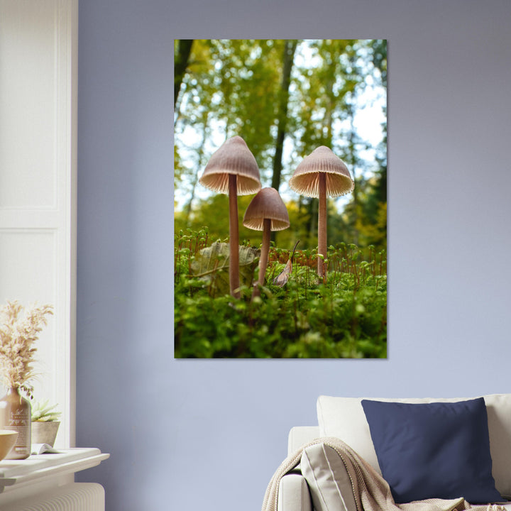 Forest whispers: mushroom family in autumn light