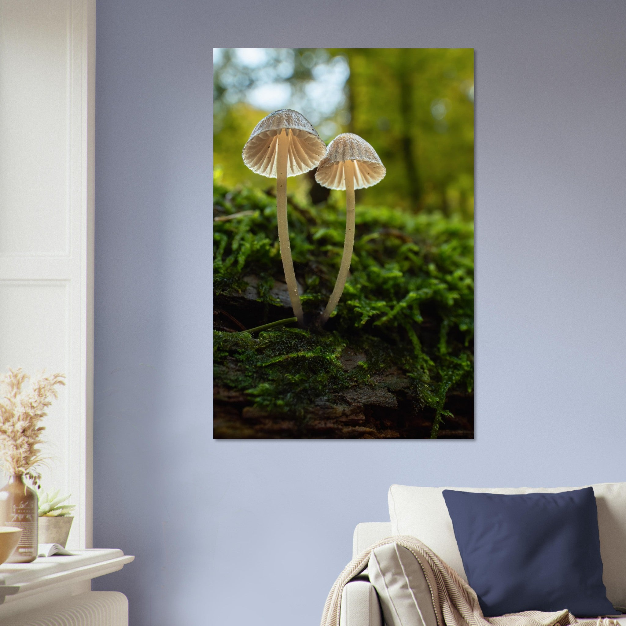 Siblings: Mushrooms on the forest floor