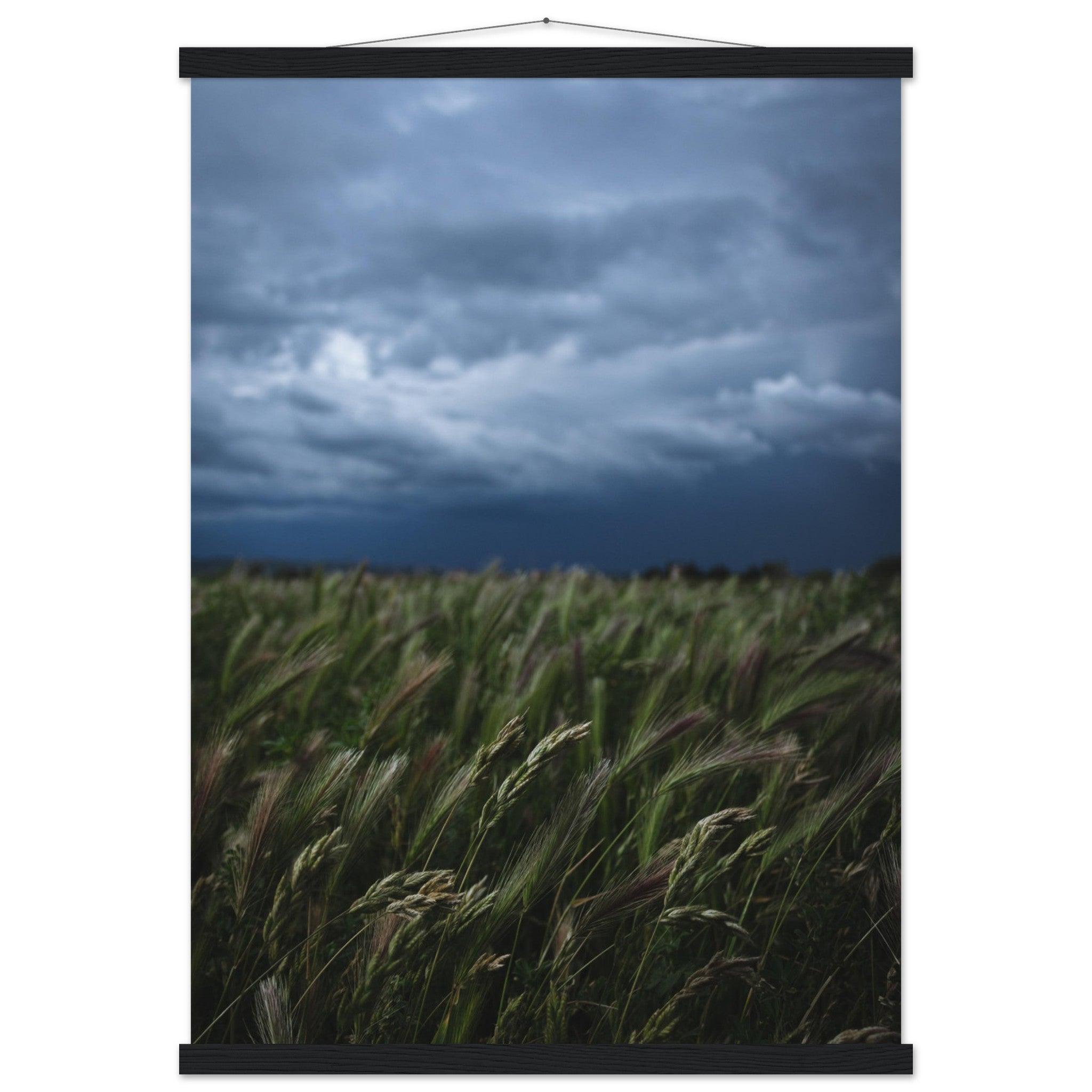 Das saftige grüne Gras - Printree.ch Erholung, Foto, Fotografie, Frankreich, grünes Gras, Landschaft, Landwirtschaft, ländlich, Natur, Naturschönheit, Reisen, Sommer, unsplash, Weide, Wiese