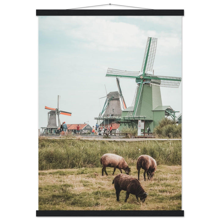 Atmosphäre der Niederlande - Printree.ch Foto, Fotografie, unsplash