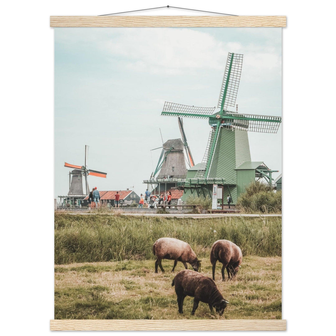 Atmosphäre der Niederlande - Printree.ch Foto, Fotografie, unsplash