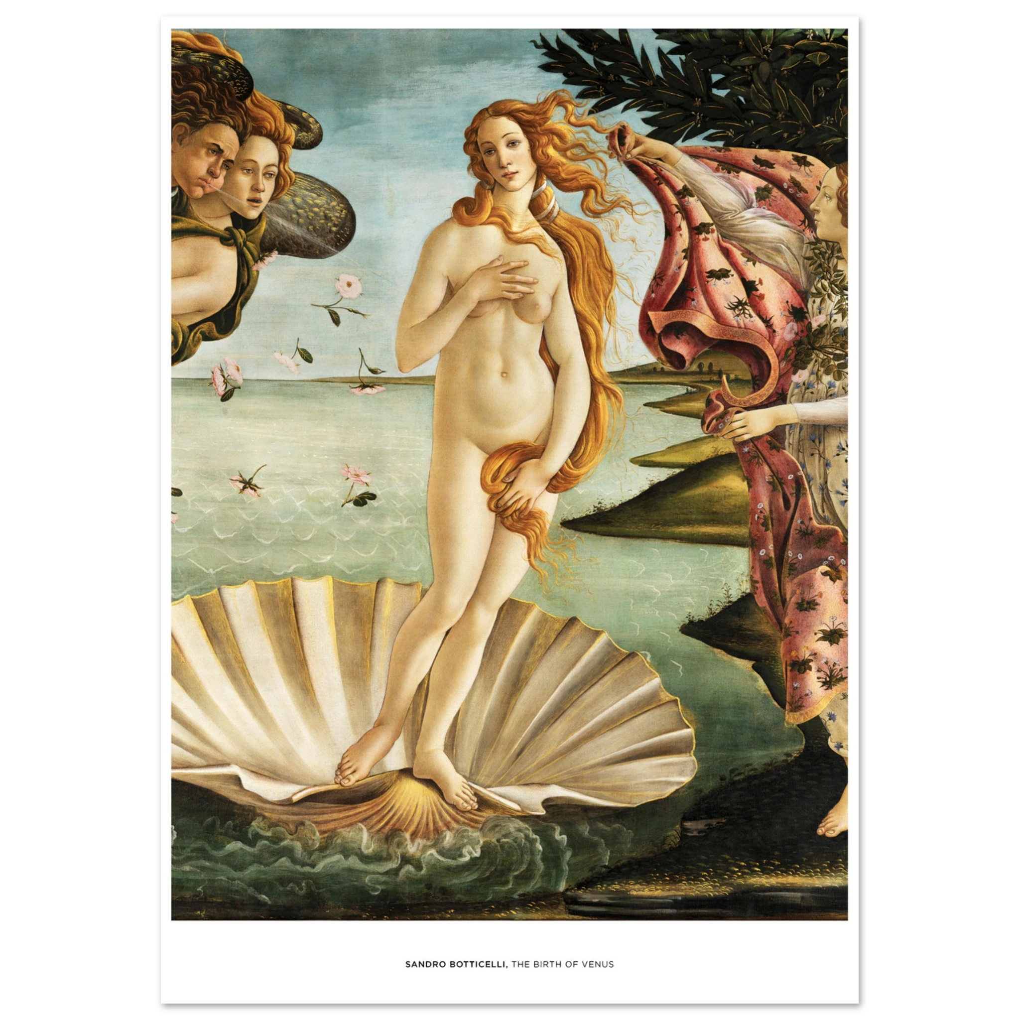 "The Birth of Venus" von Sandro Botticelli, Hochwertiger Kunstdruck,  21x29.7 cm / 8x12"-A3 (29.7 x 42  cm)-45x60 cm / 18x24″-50x70 cm / 20x28″-60x80 cm / 24x32″-70x100 cm / 28x40″,  Printree.ch