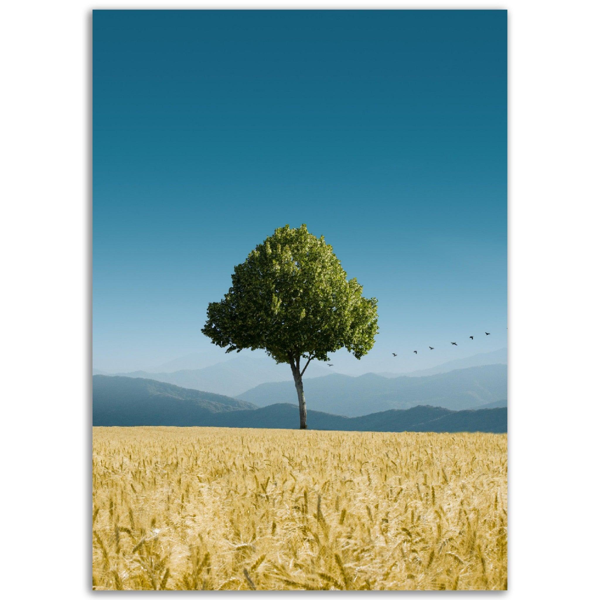 Arbre en été avec des oiseaux