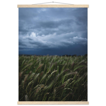 Das saftige grüne Gras - Printree.ch Erholung, Foto, Fotografie, Frankreich, grünes Gras, Landschaft, Landwirtschaft, ländlich, Natur, Naturschönheit, Reisen, Sommer, unsplash, Weide, Wiese