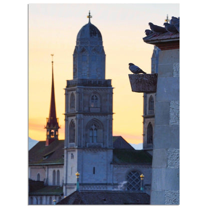 Der Charme des Lindenhofs: Eine Oase der Ruhe - Printree.ch alt, architektur, blau, blick, brücke, eifach-züri, europa, europäisch, fluss, gebäude, grossmünster, innenstadt, kathedrale, kirche, limmat, panorama, reisen, schweiz, schweizer, see, skyline, stadt, stadtbild, strasse, tourismus, turm, urban, wahrzeichen, zürich