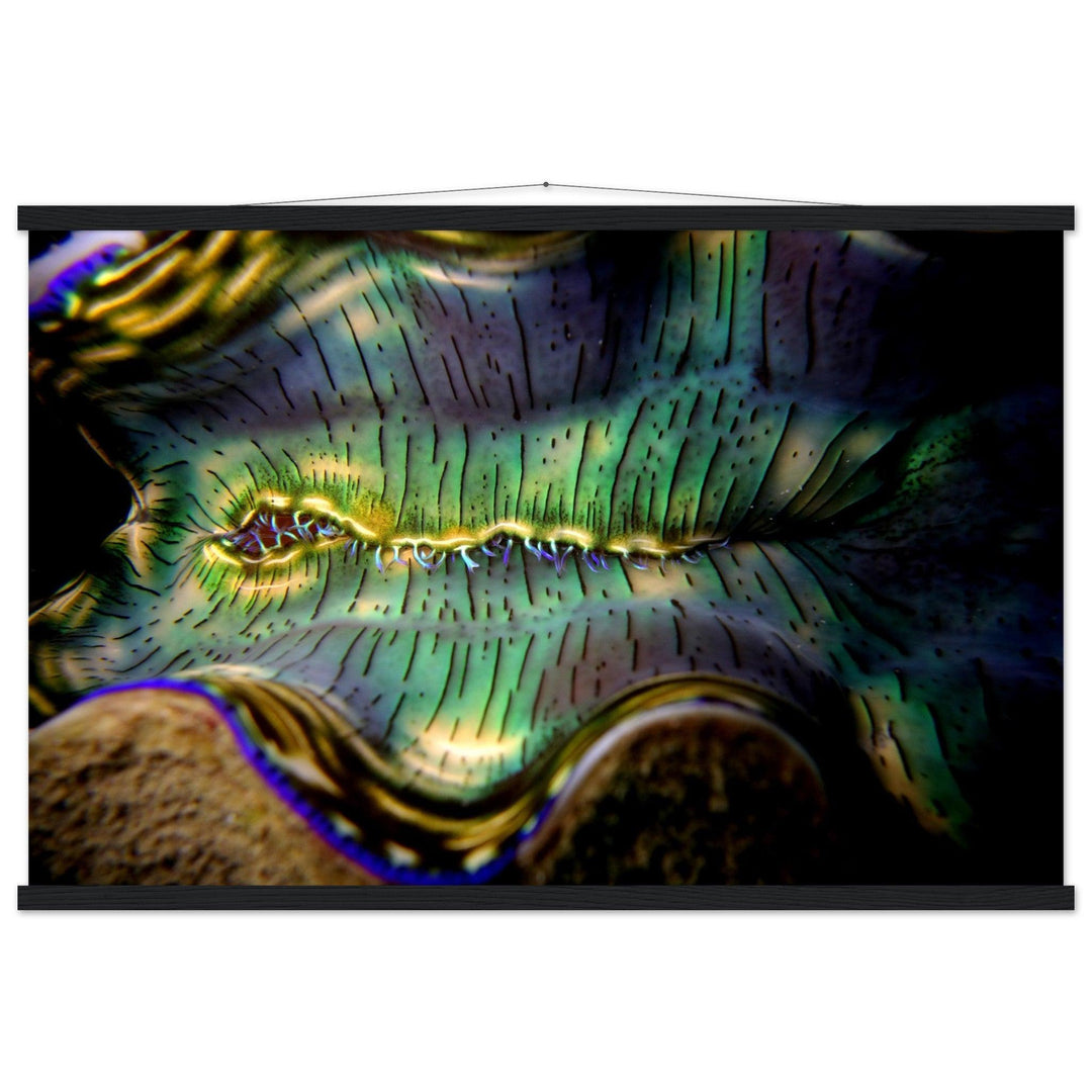 Farbenpracht der Tiefsee: Große Muschel in Palau - Printree.ch Fisch, Foto, Fotografie, meer, Meereslandschaft, ozean, SABRINA SIGNER, Unterwasserwelt