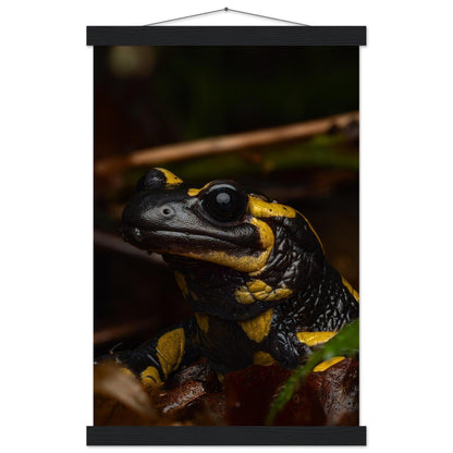 Feuersalamander - Printree.ch Auge, Blume, Farbe, farbig, Fauna, Fliege, Frühling, grün, im Freien, Insekt, Käfer, Makro, Martin_Reichenbach, Nahaufnahme, Natur, natürlich, Pflanze, schön, Sommer, Tierwelt, Umwelt, wild