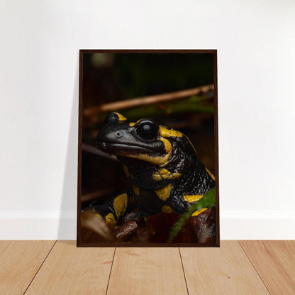 Feuersalamander - Printree.ch Auge, Blume, Farbe, farbig, Fauna, Fliege, Frühling, grün, im Freien, Insekt, Käfer, Makro, Martin_Reichenbach, Nahaufnahme, Natur, natürlich, Pflanze, schön, Sommer, Tierwelt, Umwelt, wild