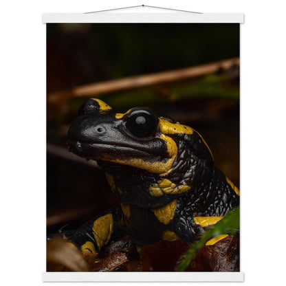 Feuersalamander - Printree.ch Auge, Blume, Farbe, farbig, Fauna, Fliege, Frühling, grün, im Freien, Insekt, Käfer, Makro, Martin_Reichenbach, Nahaufnahme, Natur, natürlich, Pflanze, schön, Sommer, Tierwelt, Umwelt, wild