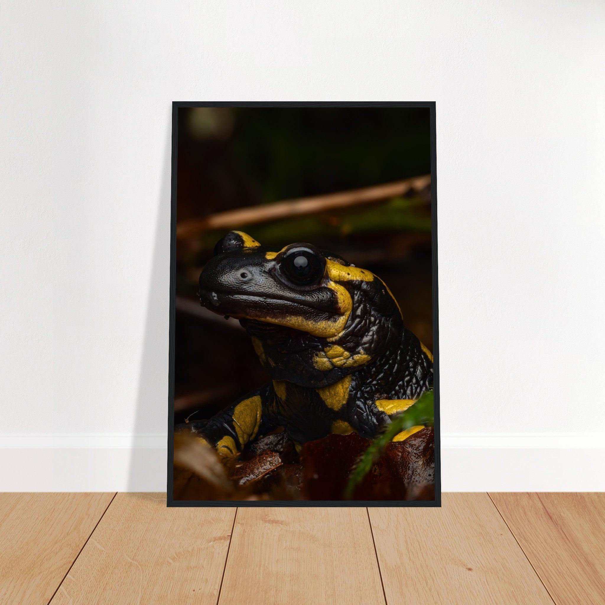 Feuersalamander - Printree.ch Auge, Blume, Farbe, farbig, Fauna, Fliege, Frühling, grün, im Freien, Insekt, Käfer, Makro, Martin_Reichenbach, Nahaufnahme, Natur, natürlich, Pflanze, schön, Sommer, Tierwelt, Umwelt, wild