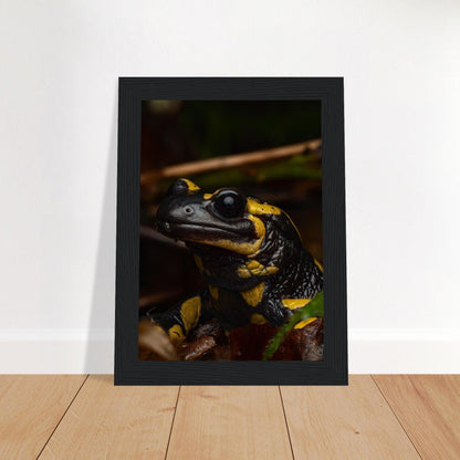 Feuersalamander - Printree.ch Auge, Blume, Farbe, farbig, Fauna, Fliege, Frühling, grün, im Freien, Insekt, Käfer, Makro, Martin_Reichenbach, Nahaufnahme, Natur, natürlich, Pflanze, schön, Sommer, Tierwelt, Umwelt, wild