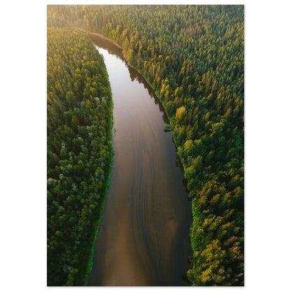 Fluss der Stille - Printree.ch Natur, Unsplash