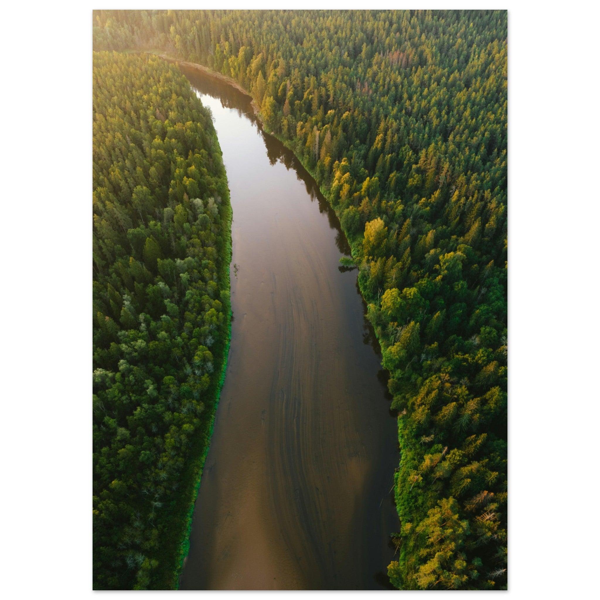 Fluss der Stille - Printree.ch Natur, Unsplash