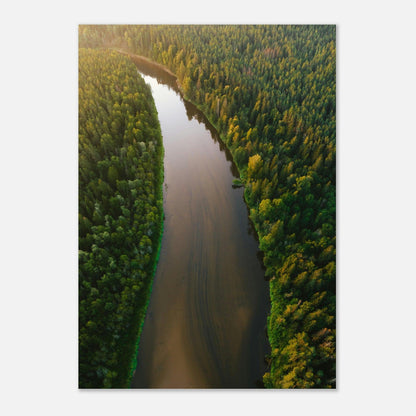 Fluss der Stille - Printree.ch Natur, Unsplash