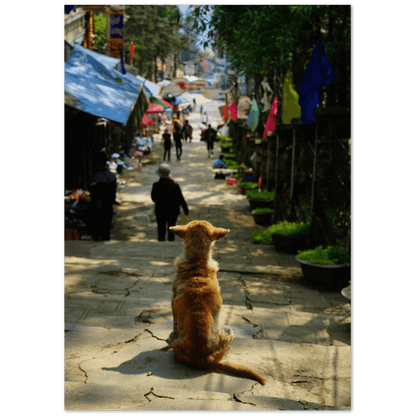 Hund in SaPa - Printree.ch asiatisch, Asien, einfachschweizer, exklusiv, Foto, Fotografie, haustier, hund, im freien, niedlich, Poster, rasse, Reisen, schön, straße, städtisch, tier, vietnam