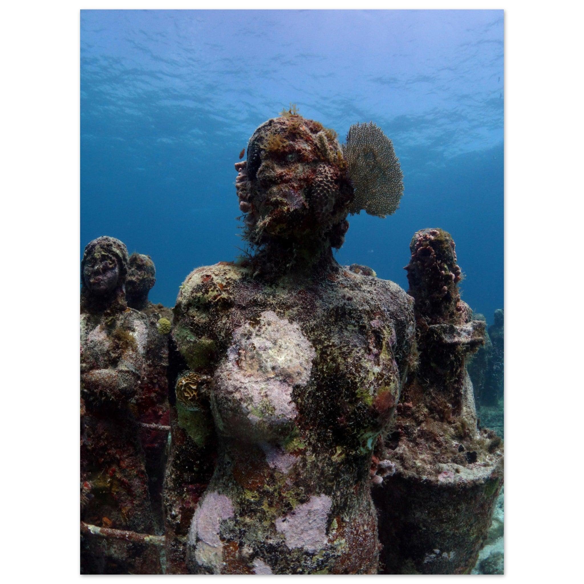 Lebendige Skulpturen: Das Korallenohr im Unterwassermuseum von Cancún - Printree.ch Fisch, Foto, Fotografie, meer, Meereslandschaft, ozean, SABRINA SIGNER, Unterwasserwelt