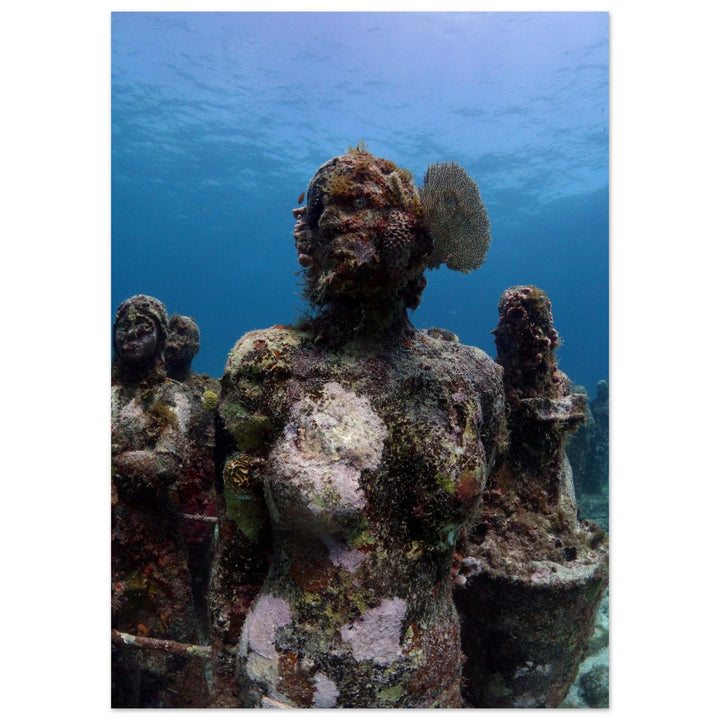 Lebendige Skulpturen: Das Korallenohr im Unterwassermuseum von Cancún - Printree.ch Fisch, Foto, Fotografie, meer, Meereslandschaft, ozean, SABRINA SIGNER, Unterwasserwelt