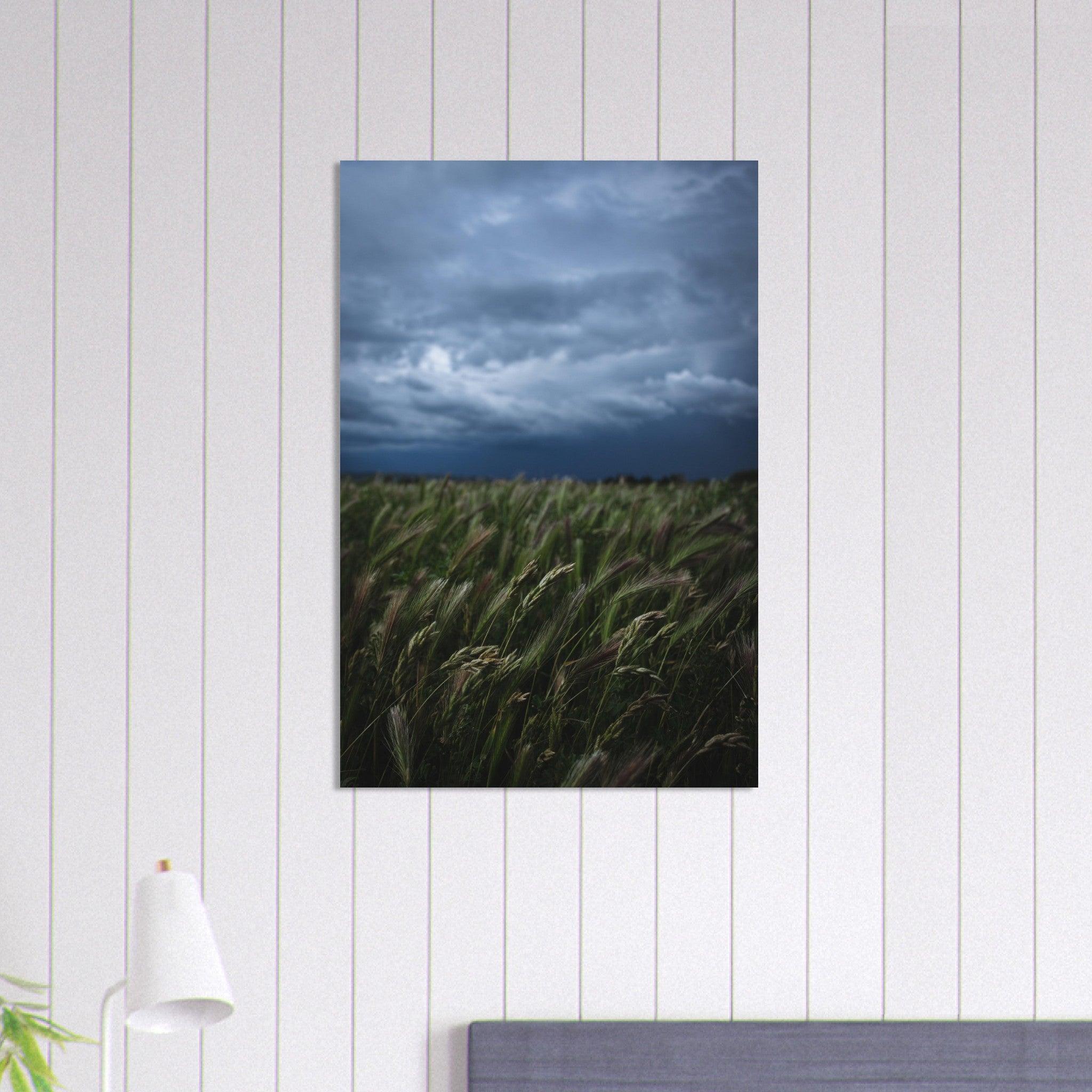 Natürliche Schönheit Poster - Printree.ch Erholung, Foto, Fotografie, Frankreich, grünes Gras, Landschaft, Landwirtschaft, ländlich, Natur, Naturschönheit, Reisen, Sommer, unsplash, Weide, Wiese