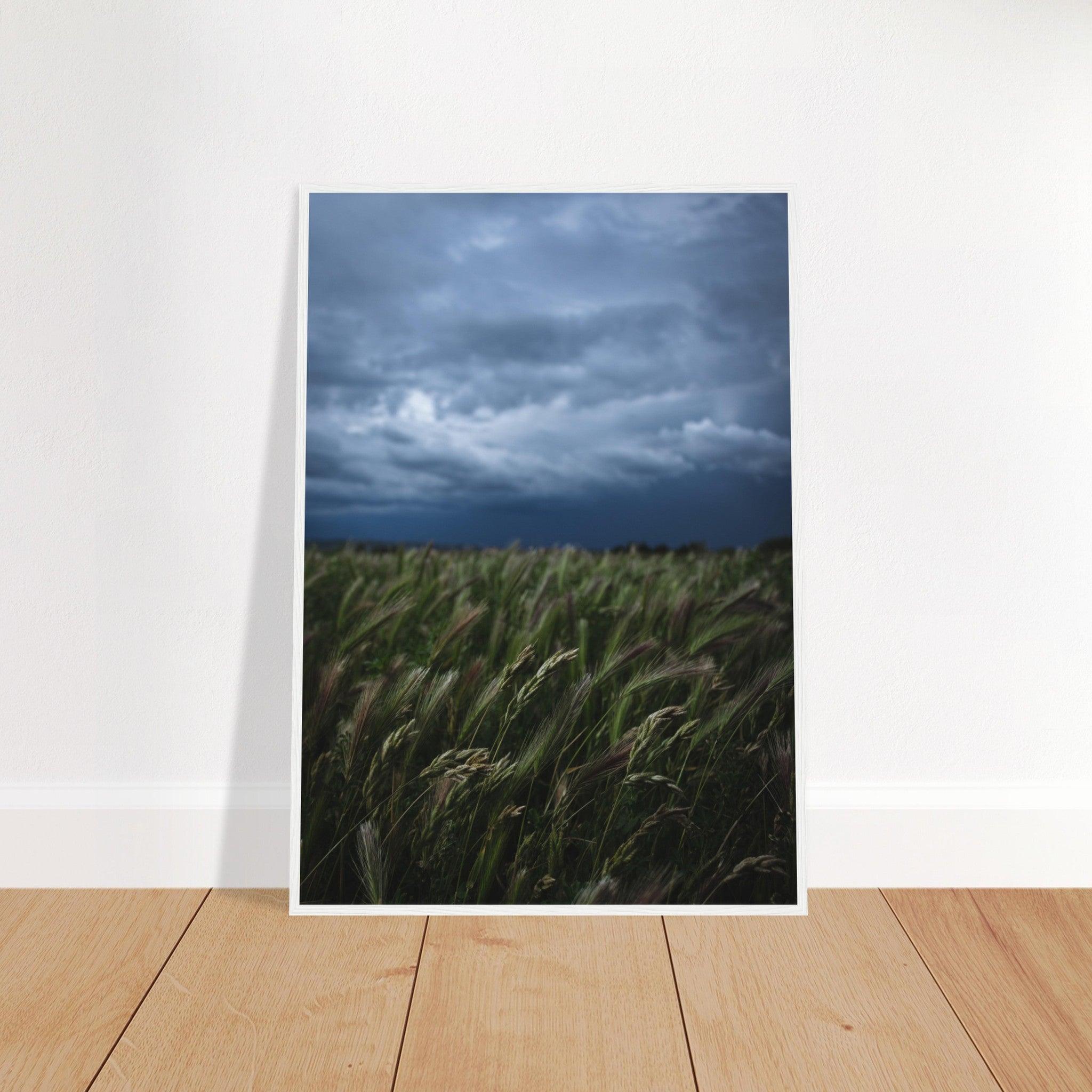 Natürliche Schönheit Poster - Printree.ch Erholung, Foto, Fotografie, Frankreich, grünes Gras, Landschaft, Landwirtschaft, ländlich, Natur, Naturschönheit, Reisen, Sommer, unsplash, Weide, Wiese