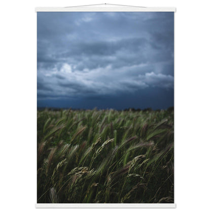 Natürliche Schönheit Poster - Printree.ch Erholung, Foto, Fotografie, Frankreich, grünes Gras, Landschaft, Landwirtschaft, ländlich, Natur, Naturschönheit, Reisen, Sommer, unsplash, Weide, Wiese