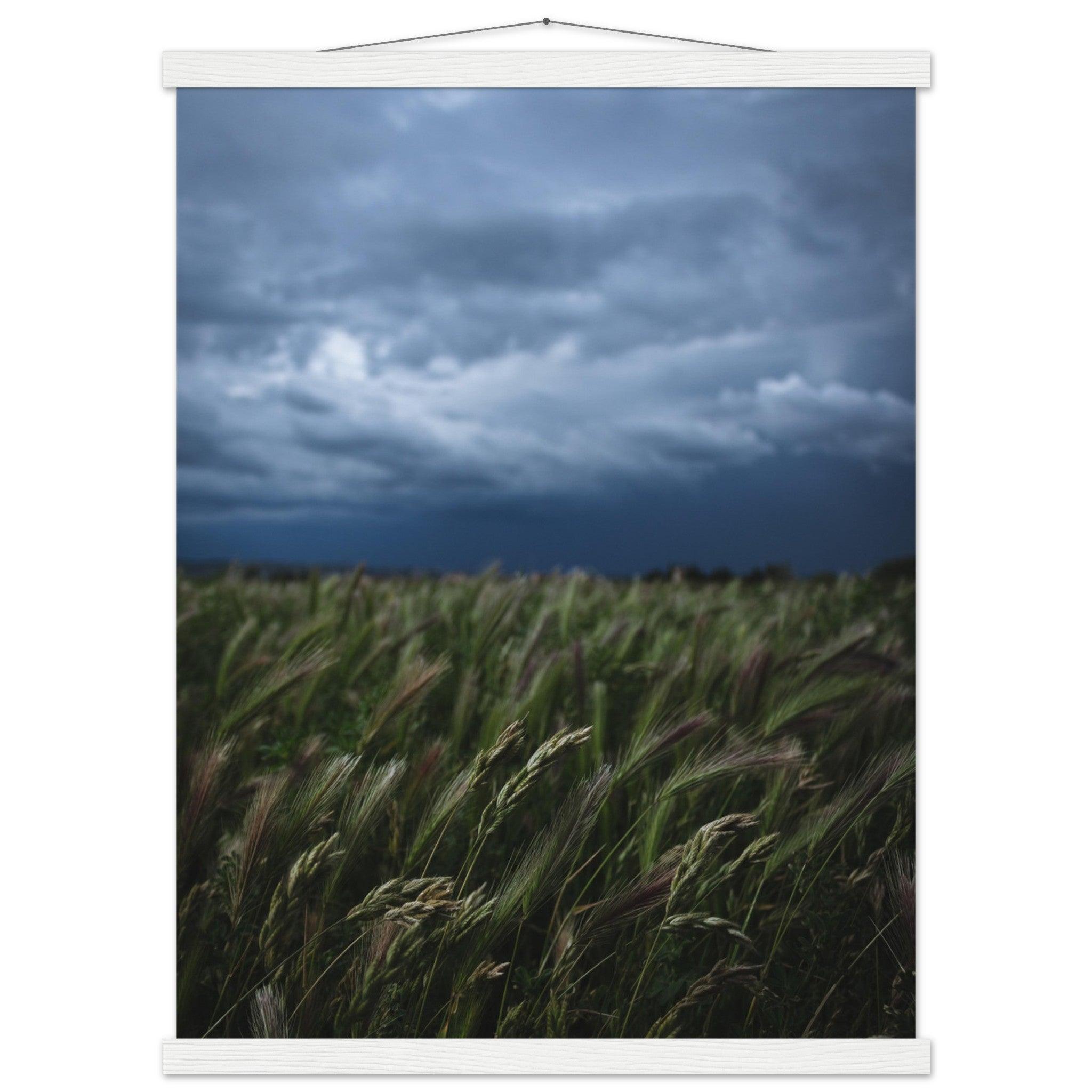 Natürliche Schönheit Poster - Printree.ch Erholung, Foto, Fotografie, Frankreich, grünes Gras, Landschaft, Landwirtschaft, ländlich, Natur, Naturschönheit, Reisen, Sommer, unsplash, Weide, Wiese