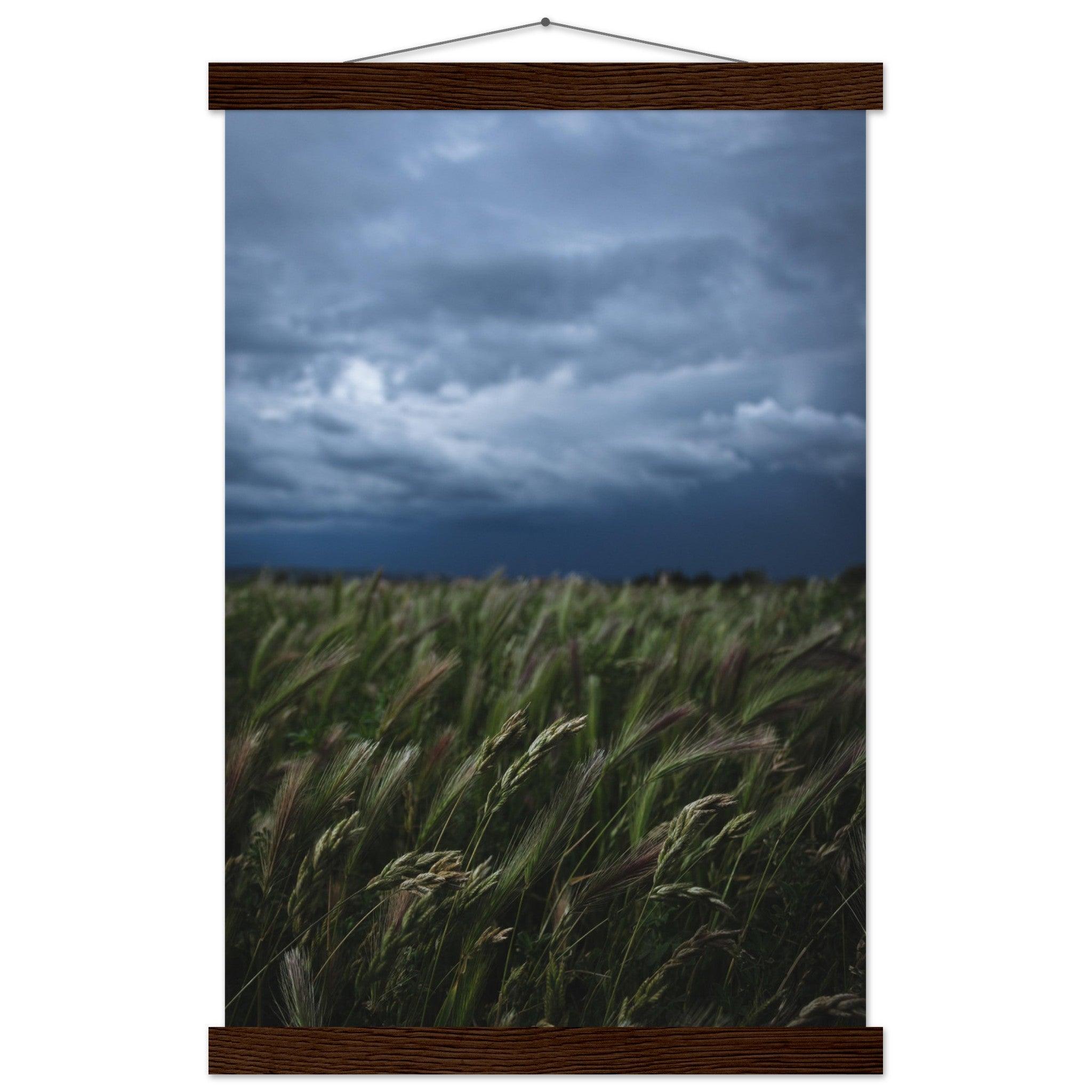 Natürliche Schönheit Poster - Printree.ch Erholung, Foto, Fotografie, Frankreich, grünes Gras, Landschaft, Landwirtschaft, ländlich, Natur, Naturschönheit, Reisen, Sommer, unsplash, Weide, Wiese