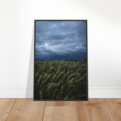 Natürliche Schönheit Poster - Printree.ch Erholung, Foto, Fotografie, Frankreich, grünes Gras, Landschaft, Landwirtschaft, ländlich, Natur, Naturschönheit, Reisen, Sommer, unsplash, Weide, Wiese