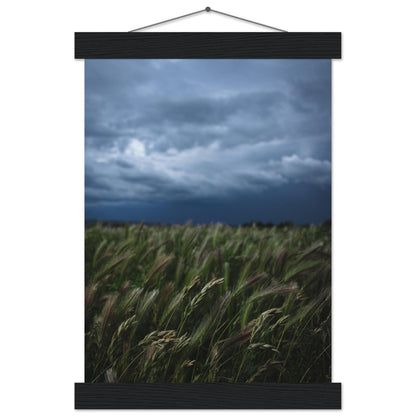 Natürliche Schönheit Poster - Printree.ch Erholung, Foto, Fotografie, Frankreich, grünes Gras, Landschaft, Landwirtschaft, ländlich, Natur, Naturschönheit, Reisen, Sommer, unsplash, Weide, Wiese