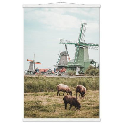 Niederlande Poster - Printree.ch Foto, Fotografie, unsplash