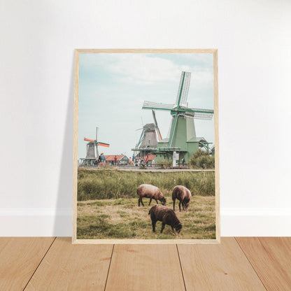 Niederlande Poster - Printree.ch Foto, Fotografie, unsplash