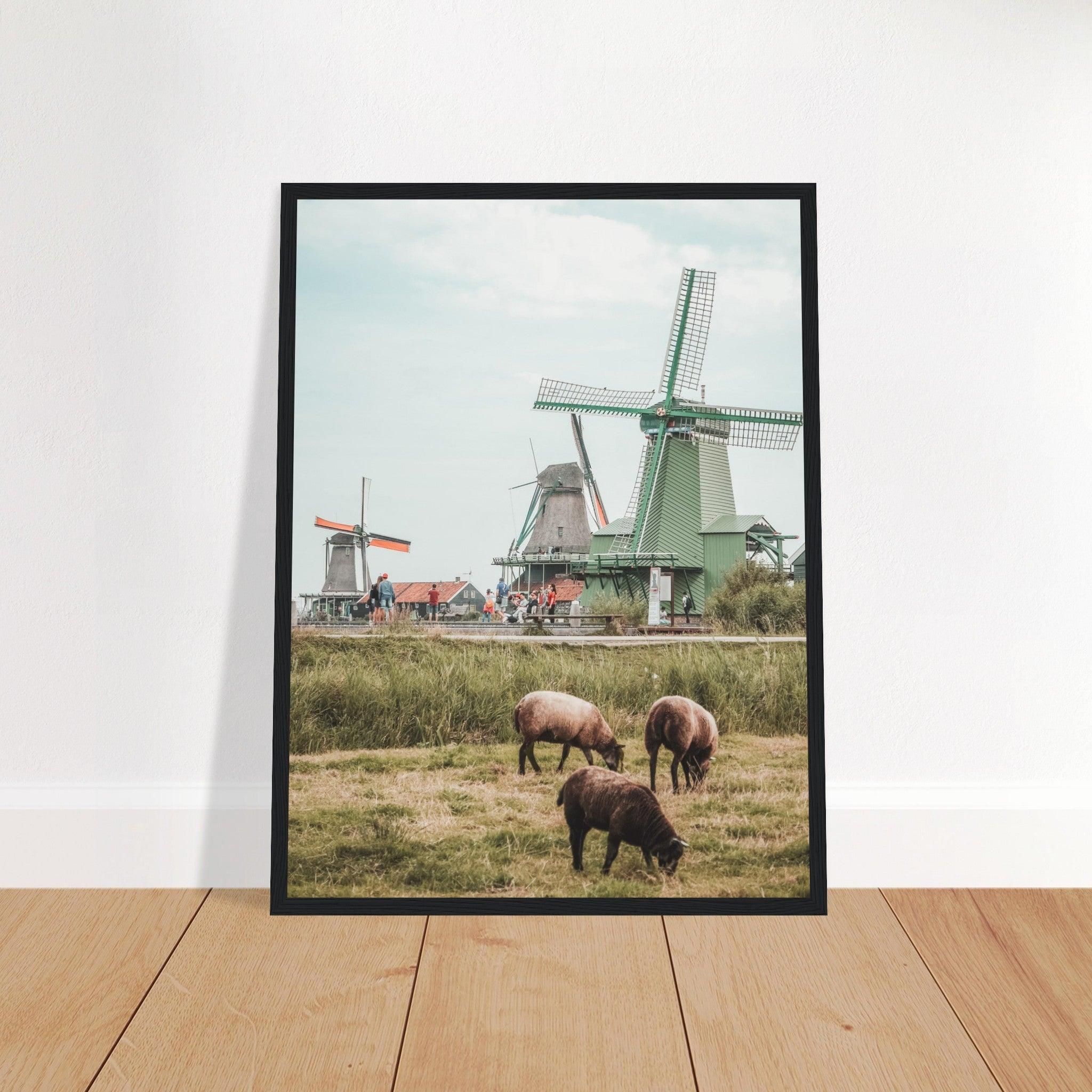 Niederlande Poster - Printree.ch Foto, Fotografie, unsplash