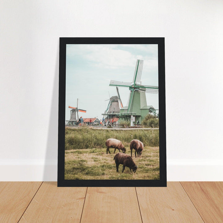 Niederlande Poster - Printree.ch Foto, Fotografie, unsplash