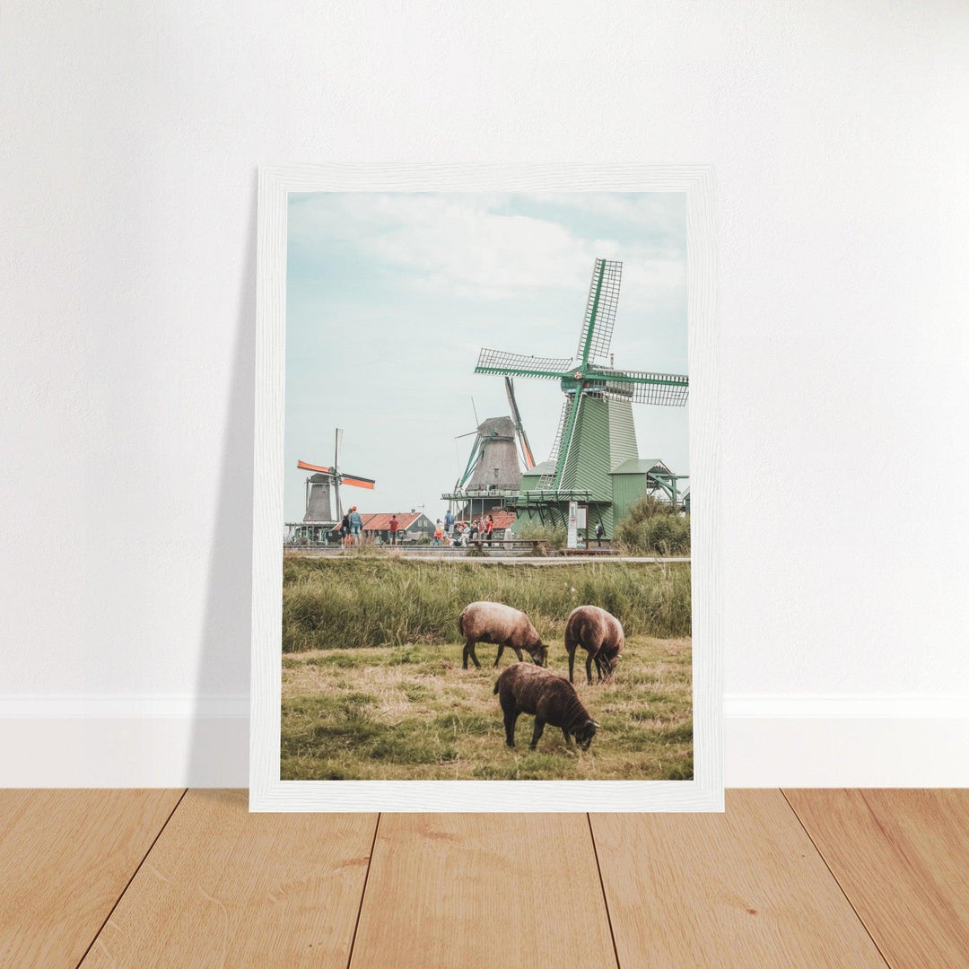 Niederlande Poster - Printree.ch Foto, Fotografie, unsplash