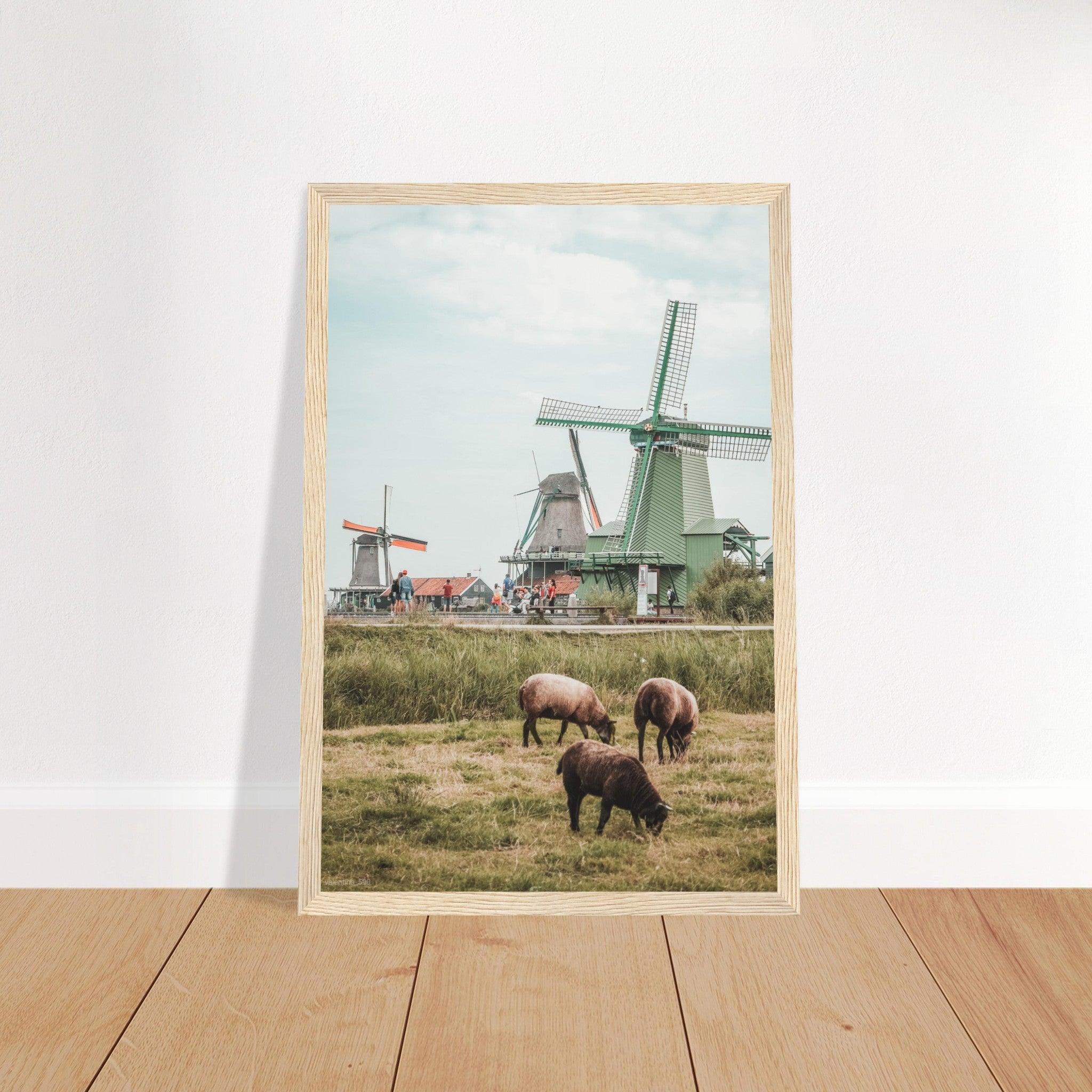 Niederlande Poster - Printree.ch Foto, Fotografie, unsplash