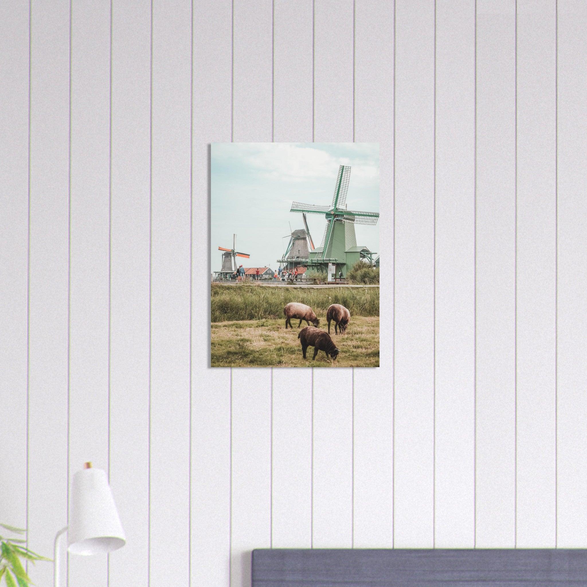 Niederlande Poster - Printree.ch Foto, Fotografie, unsplash