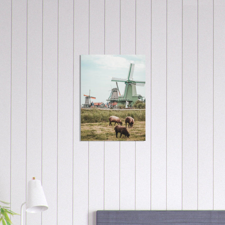 Niederlande Poster - Printree.ch Foto, Fotografie, unsplash