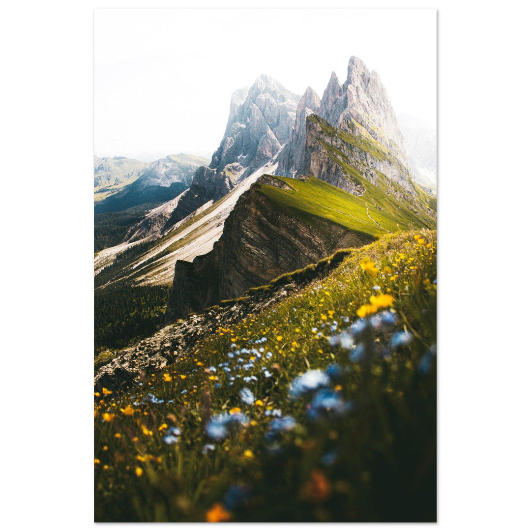 Seceda Naturposter - Printree.ch Alpen, Aussichtspunkt, Berglandschaft, Dolomiten, Foto, Fotografie, Italien, Natur, Ortisei, Panorama, Reisen, Seceda, Skifahren, unsplash, Wanderung