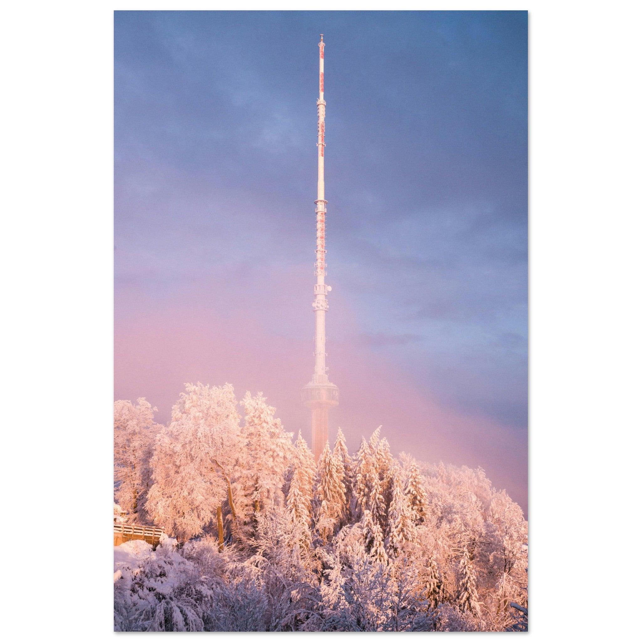 Uetliberg, Zürich, Schweiz - Printree.ch Foto, Fotografie, unsplash, Zürich