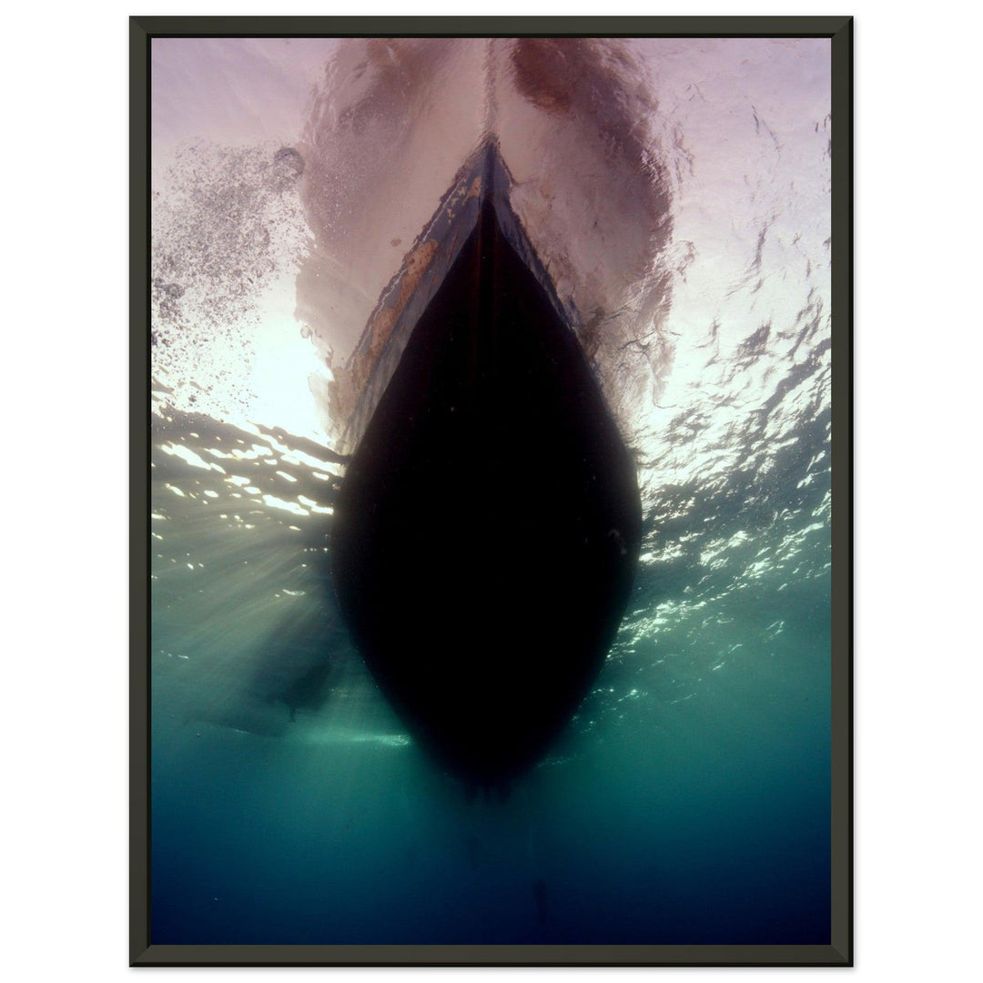 Unter dem Boot - Marsa Alam, Ägypten - Printree.ch Fisch, Foto, Fotografie, meer, Meereslandschaft, ozean, SABRINA SIGNER, Unterwasserwelt