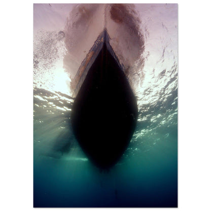 Unter dem Boot - Marsa Alam, Ägypten - Printree.ch Fisch, Foto, Fotografie, meer, Meereslandschaft, ozean, SABRINA SIGNER, Unterwasserwelt