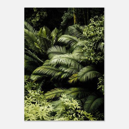 Urwaldgeflüster - Printree.ch Natur, Unsplash