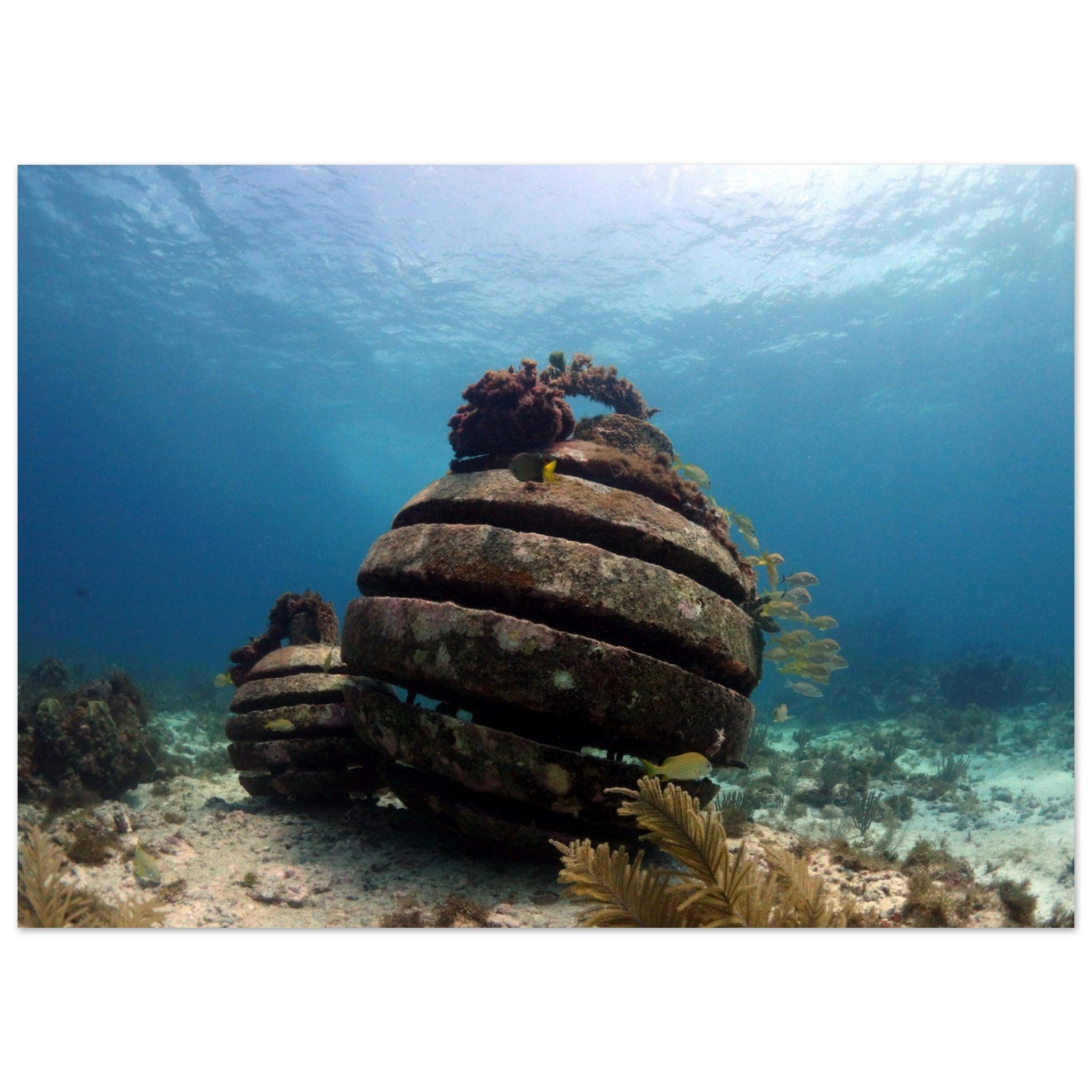 Versunkene Geschichten: Das Unterwassermuseum von Cancún - Printree.ch 