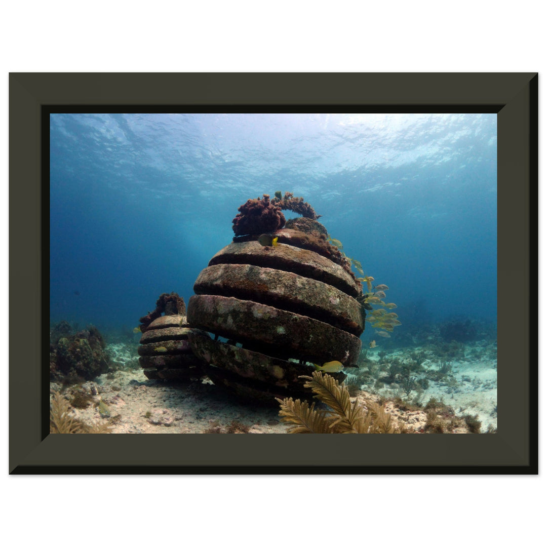 Versunkene Geschichten: Das Unterwassermuseum von Cancún - Printree.ch 