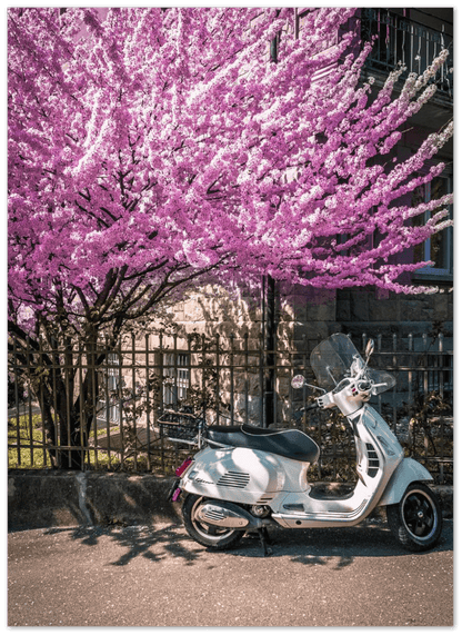 Vespa Frühling - Printree.ch alt, Architektur, Asien, Bauwerk, Buddha, Buddhismus, eifach-züri, einfachschweizer, exklusiv, Foto, Fotografie, Gebäude, Geschichte, grüne Farbe, historisch, Holz - Material, im Freien, Japan, japanische Kultur, Kulturen, Nara Stadt, ostasiatische Kultur, Poster, Präfektur Nara, Reisen, Reiseziele, Religion, Schrein, Sozialgeschichte, Spiritualität, Tempel - Gebäude, Tourismus, traditionell, Wahrzeichen, zurichby.ch, Zürich